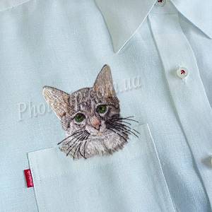 Вышивка кот в кармане